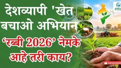 रब्बी 2026
