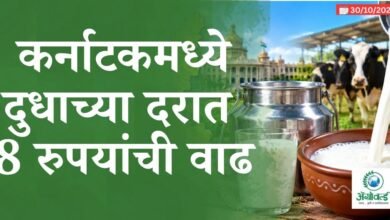 कर्नाटक