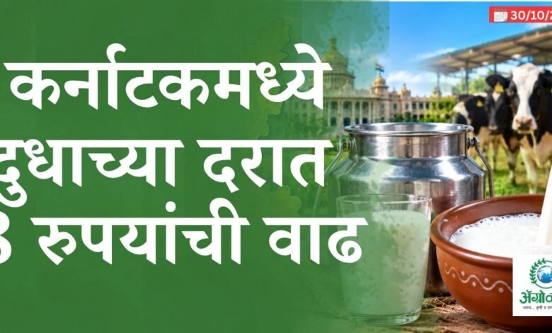 कर्नाटक