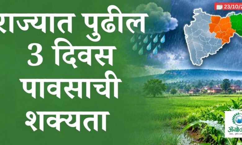 पुढील 3 दिवस पावसाची शक्यता