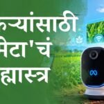 म्यूस वंडर आणि म्यूस वंडर फुल