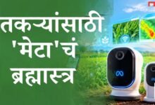 म्यूस वंडर आणि म्यूस वंडर फुल