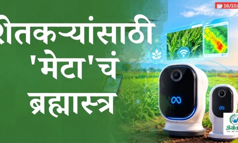 म्यूस वंडर आणि म्यूस वंडर फुल