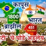 कापूस