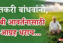 रब्बी आवर्तन