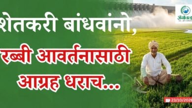 रब्बी आवर्तन
