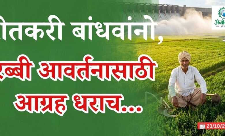 रब्बी आवर्तन