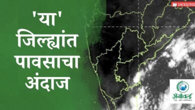 'या' जिल्ह्यांत पावसाचा अंदाज