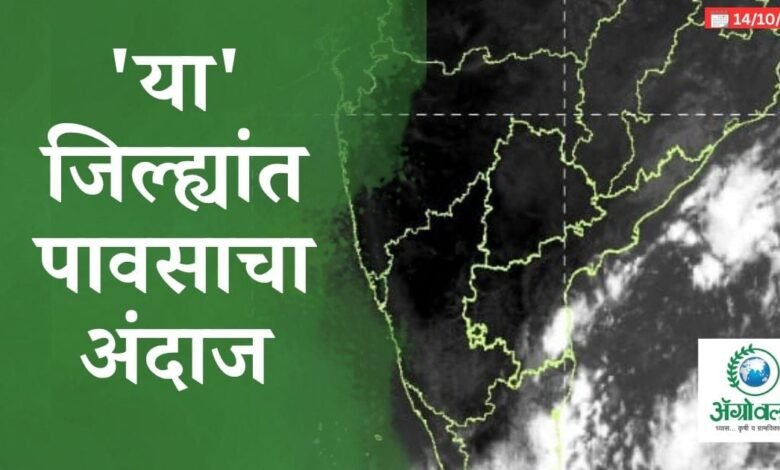 'या' जिल्ह्यांत पावसाचा अंदाज