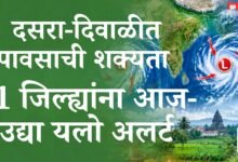 बंगालचा उपसागरसह अरबी समुद्रातही कमी दाबाचा पट्टा