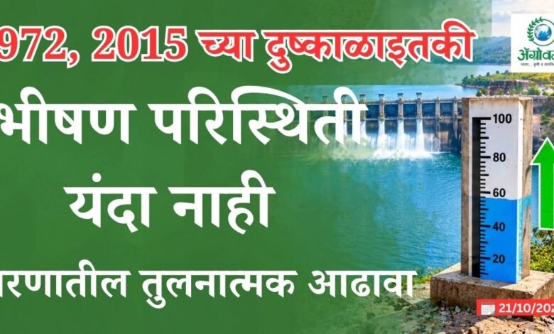 दुष्काळाइतकी भीषण परिस्थिती यंदा नाही